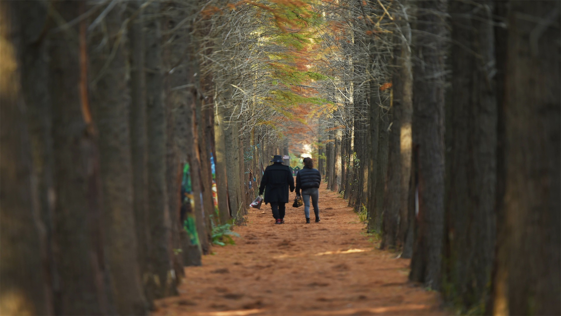 冬享禅意养生游