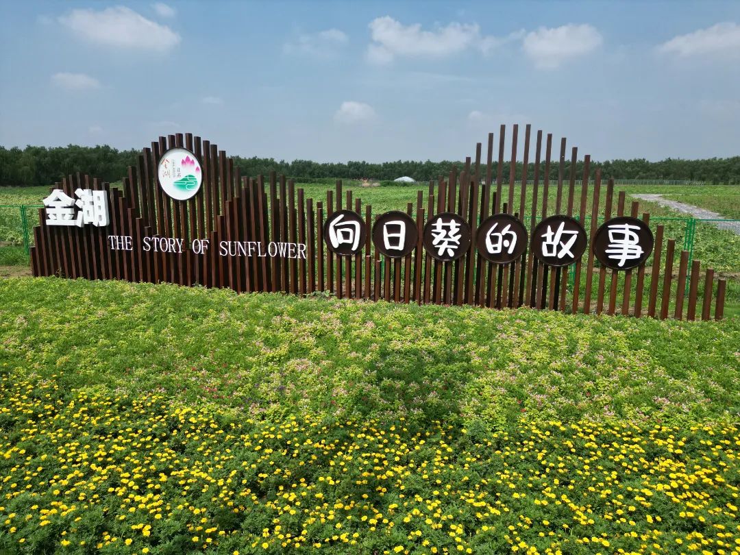 看，白马湖南片区精彩绽放